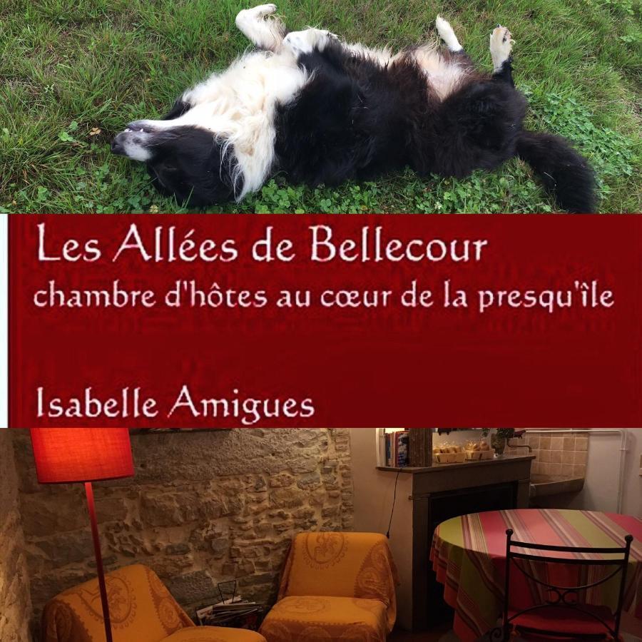 Les Allees De Bellecour Apartment Lyon Exterior foto